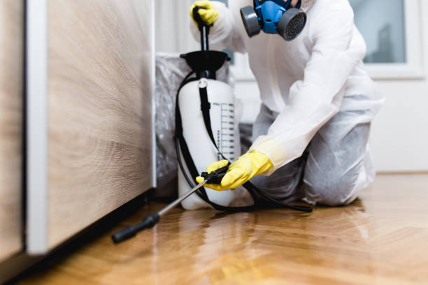 Best Emergency Pest Control  in Hillview, KY