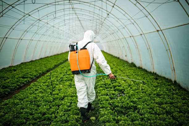 Best Pest Control Near Me  in Hillview, KY