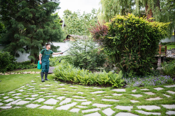 Best Exterminator Services  in Hillview, KY