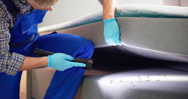 Best Affordable Pest Control Services  in Hillview, KY