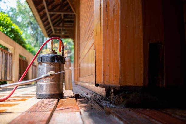 Pest Control Cost in Hillview, KY