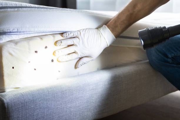Best Mosquito Control Services  in Hillview, KY
