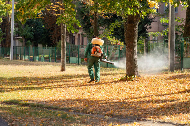 Best Affordable Pest Control Services  in Hillview, KY