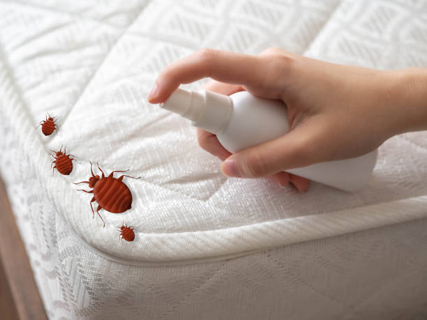 Best Best Pest Control Companies  in Hillview, KY