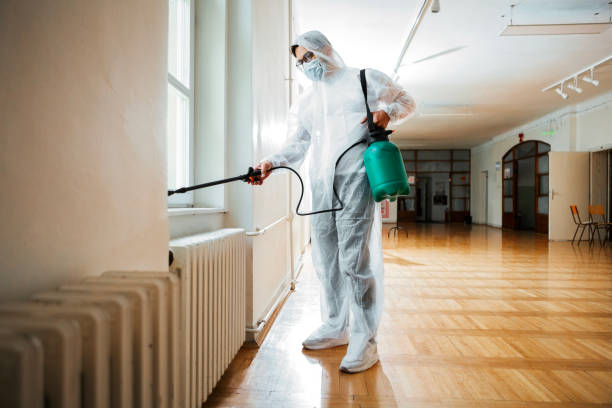 Best Pest Prevention Services  in Hillview, KY