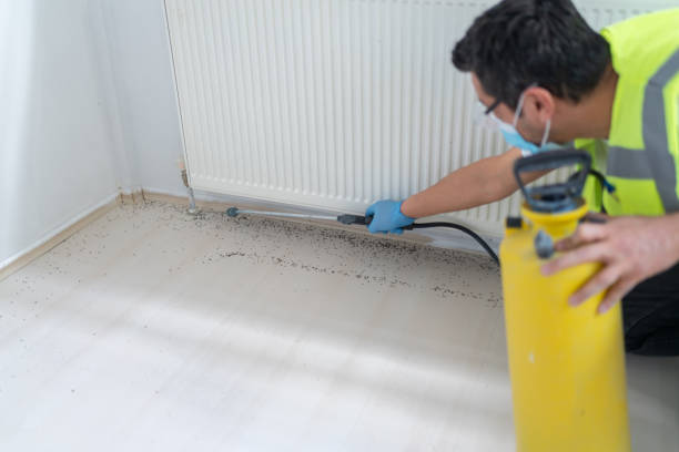 Best Pest Prevention Services  in Hillview, KY