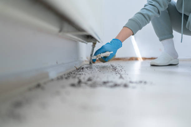 Pest Prevention Services in Hillview, KY