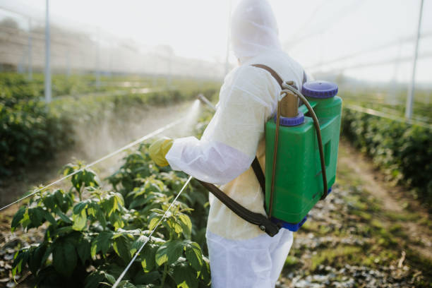 Trusted Hillview, KY Pest Control Experts